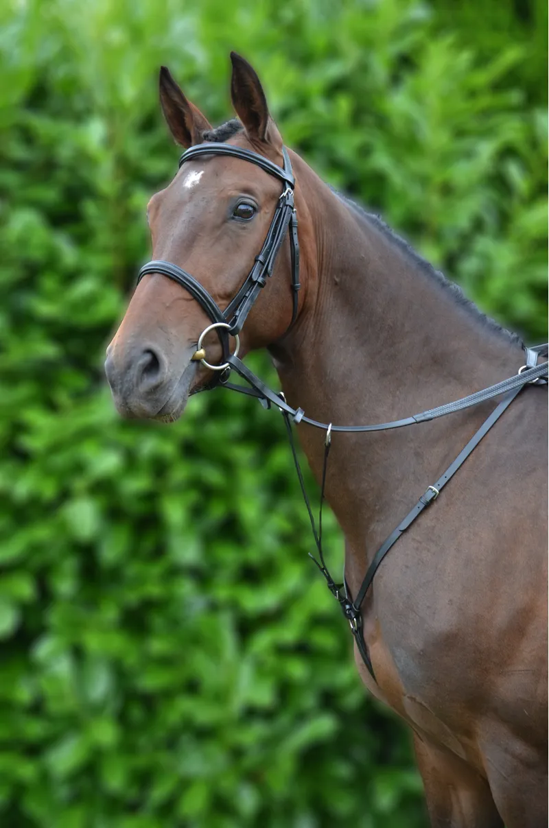 Hy Equestrian Hunting Breastplate - Black